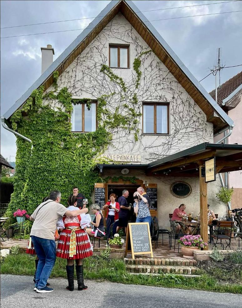 Víno z okolních vinic